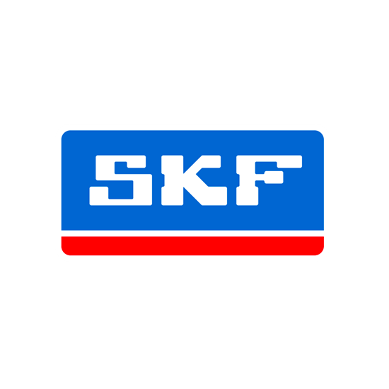 skf-30122021.png